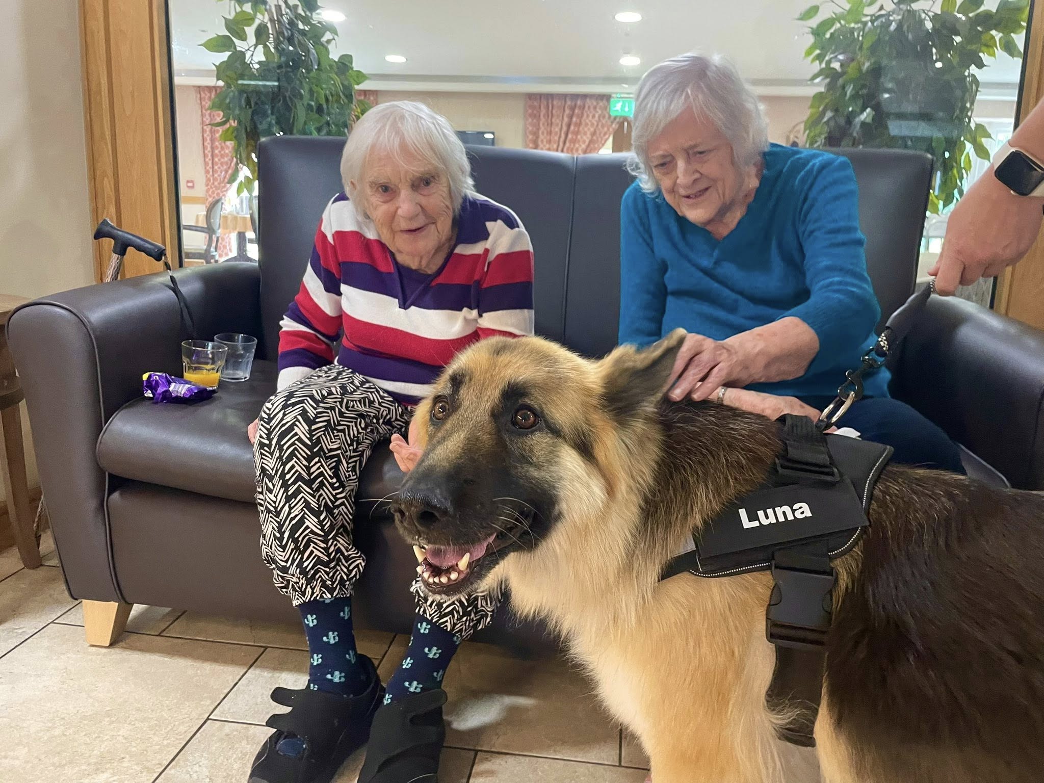 Spreading Joy Through Pet Therapy: Luna Visits Kendal Care Home 🐾 - Thumbnail