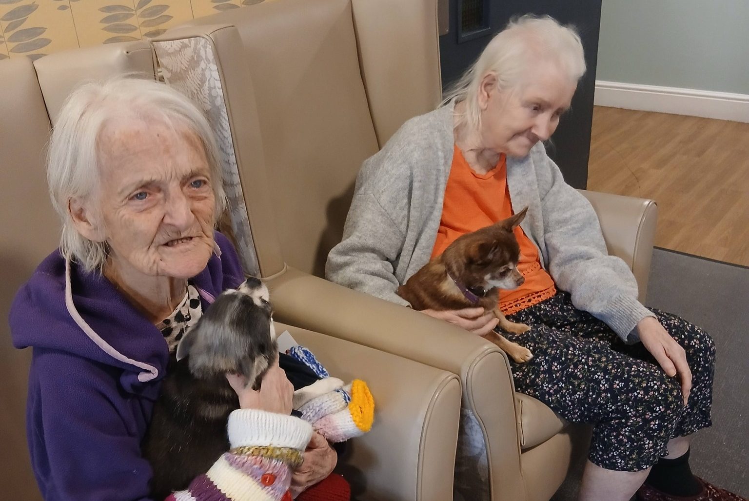 Dog Therapy Brings Joy to Heron Hill Care Home - Thumbnail
